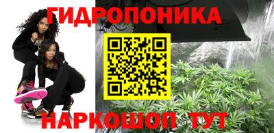 дурь Будённовск